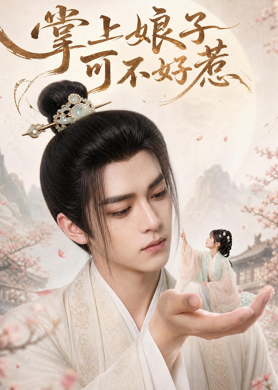 掌上娘子可不好惹（蓝光）