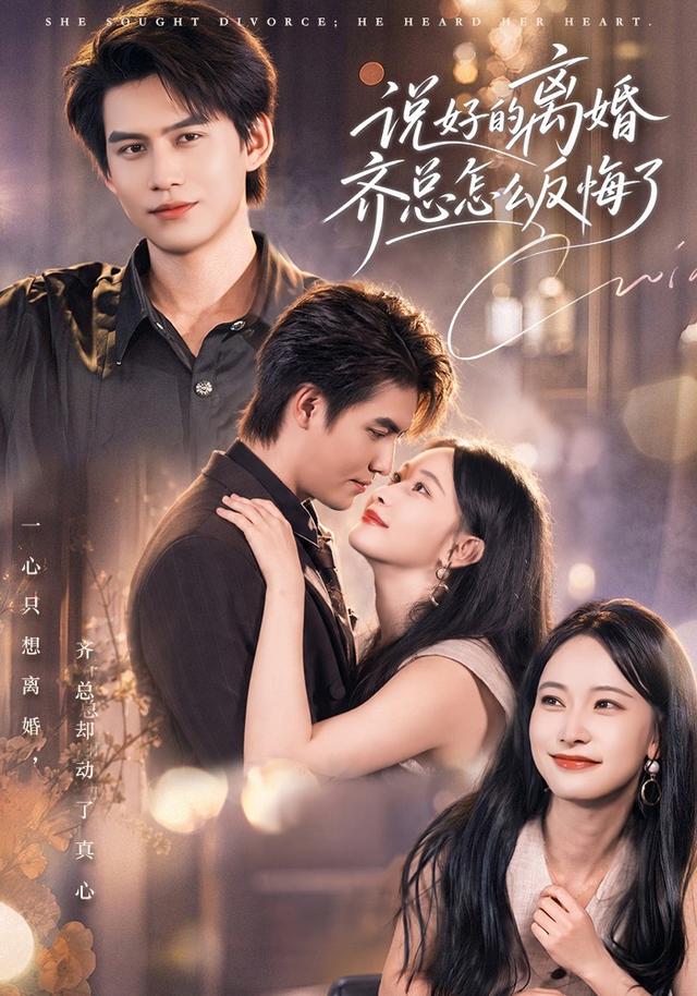 说好的离婚齐总怎么反悔了(蓝光)