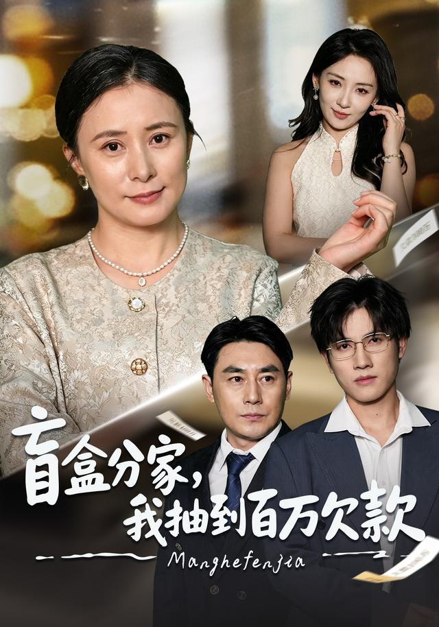 盲盒分家我抽到百万欠款(蓝光)