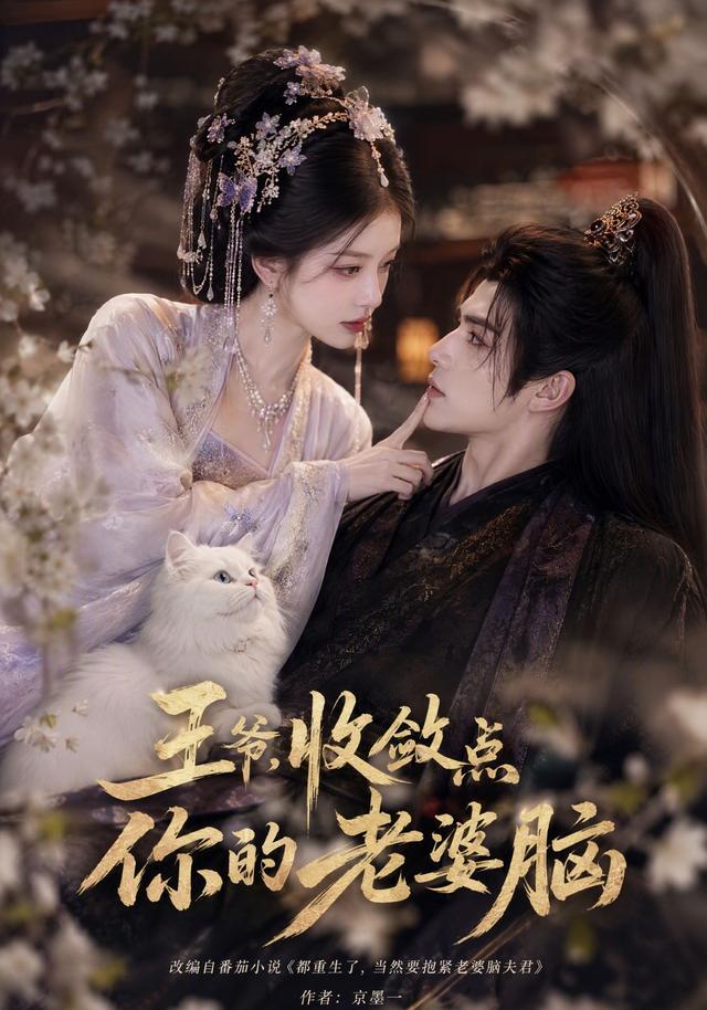 王爷收敛点你的老婆脑（蓝光）