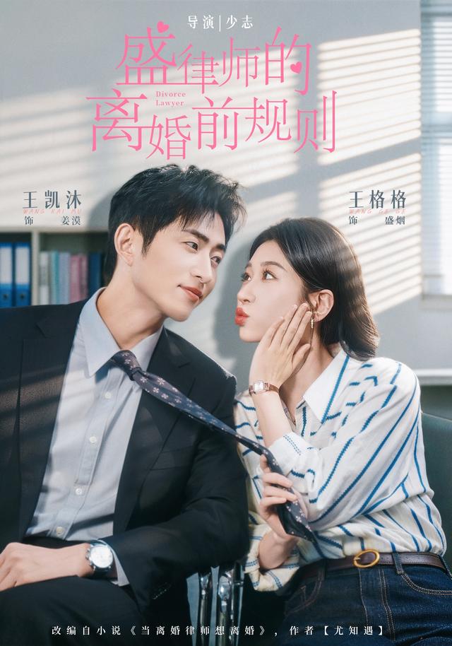 盛律师的离婚前规则(蓝光)