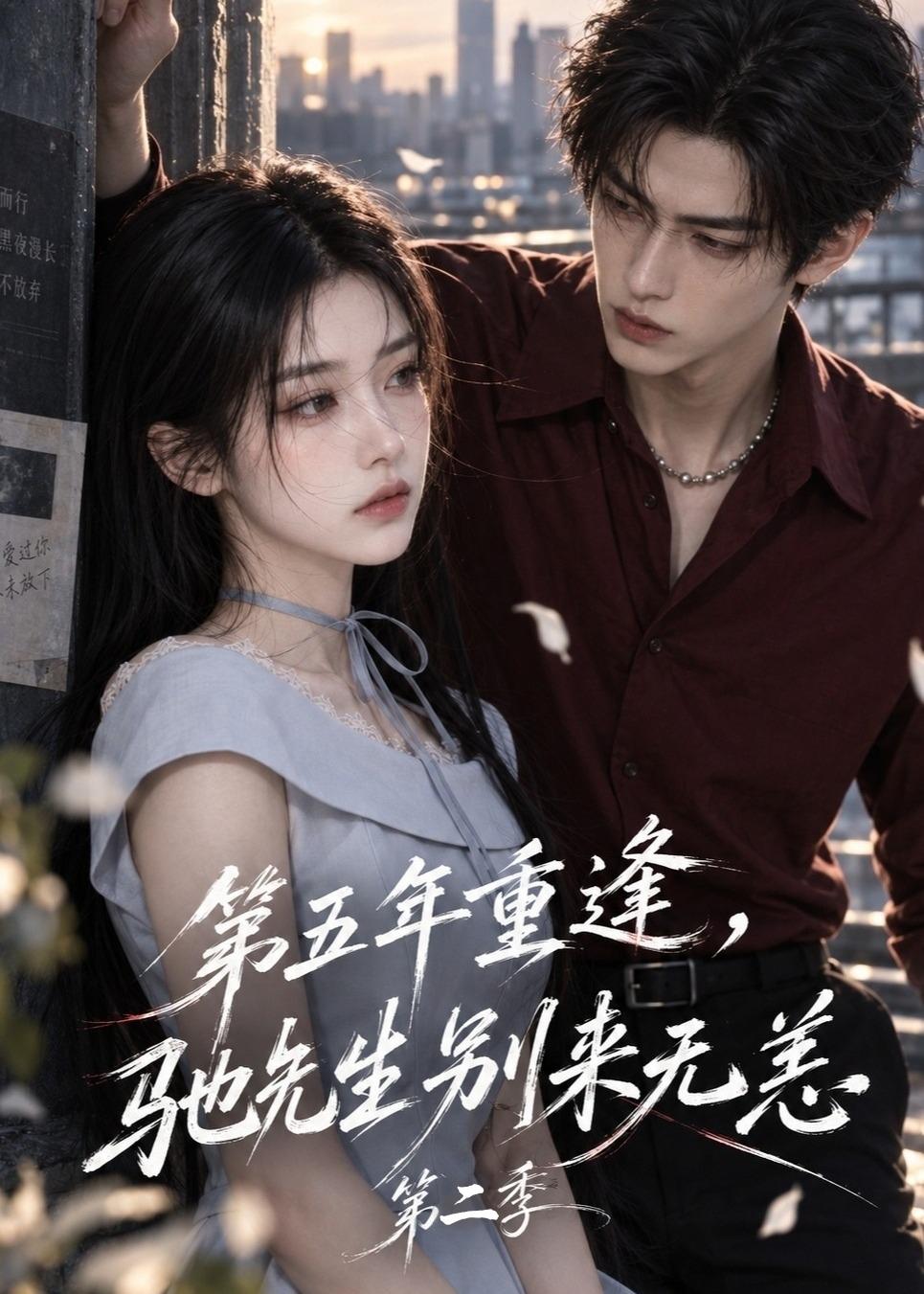 第五年重逢驰先生别来无恙第二季(4K)