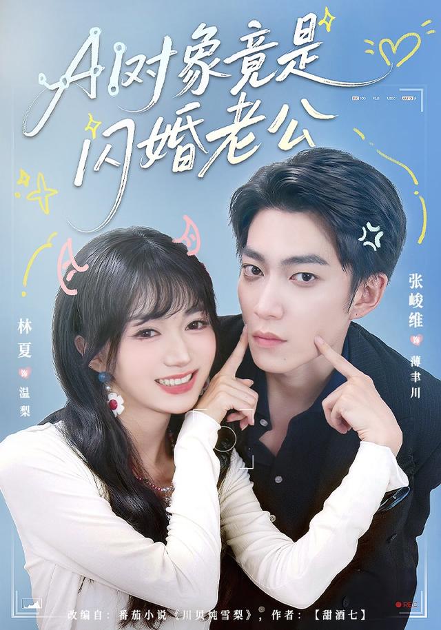 ai对象竟是闪婚老公(蓝光)