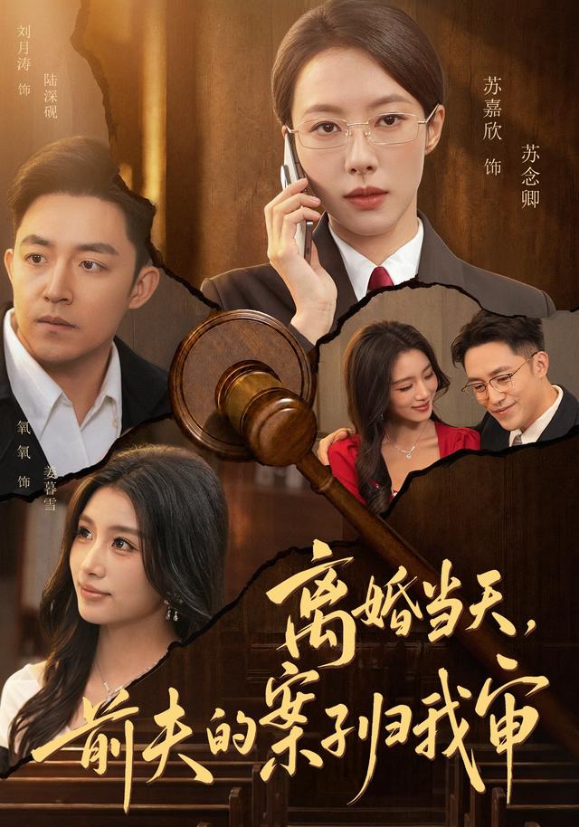 离婚当天前夫的案子归我审（1080）