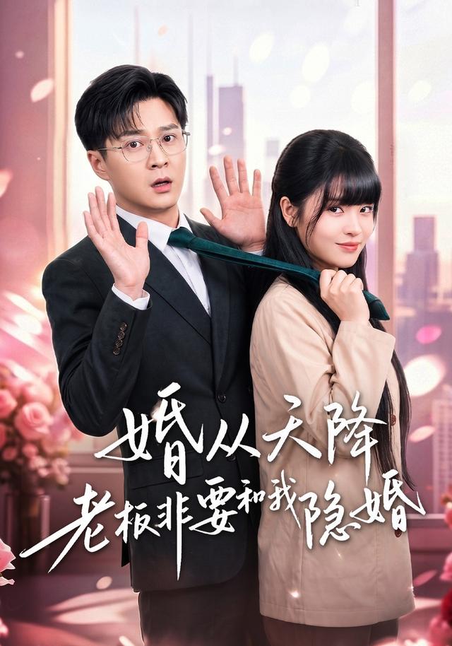 婚从天降老板非要和我隐婚（4K）