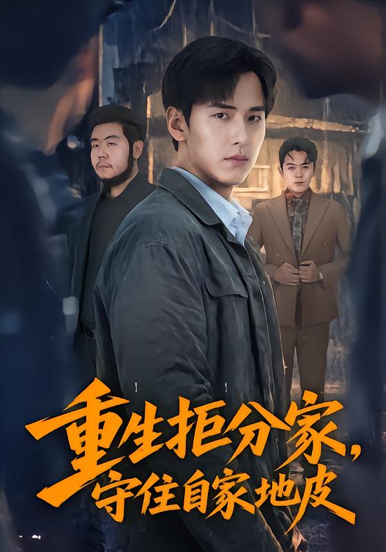 重生拒分家守住自家地皮(蓝光)