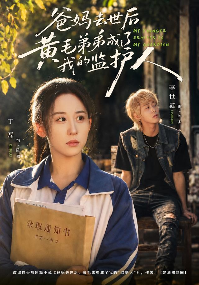 爸妈去世后黄毛弟弟成了我的监护人（蓝光）